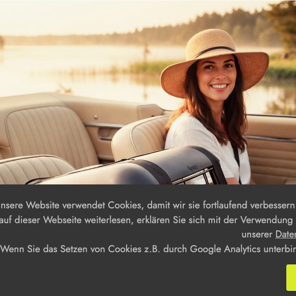 Caree Transportbox für kleine Hunde