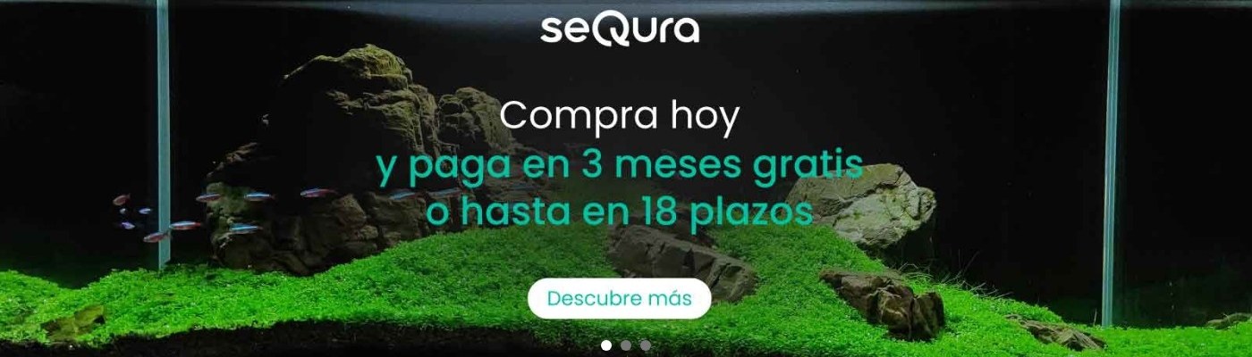 Acuario Plantado: referencia oficial 3