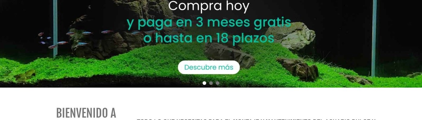 Acuario Plantado: referencia oficial 4