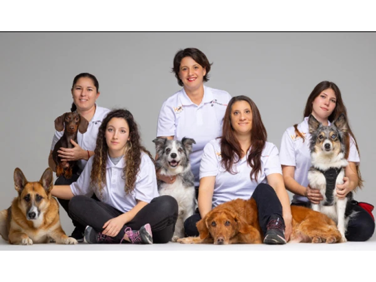 Curso de adiestrador canino profesional