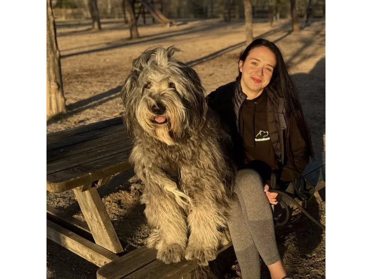 Adiestramiento canino online