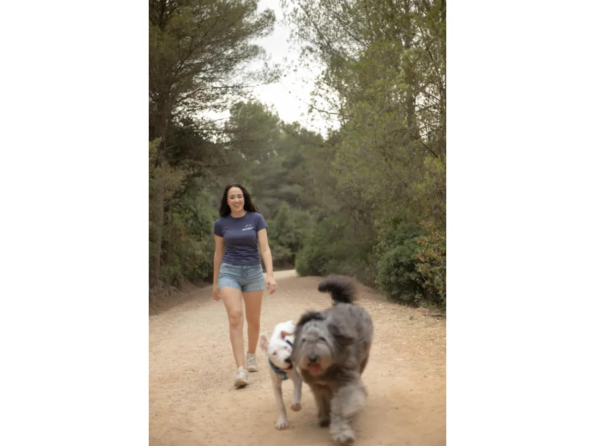 Educa y entiende a tu perro