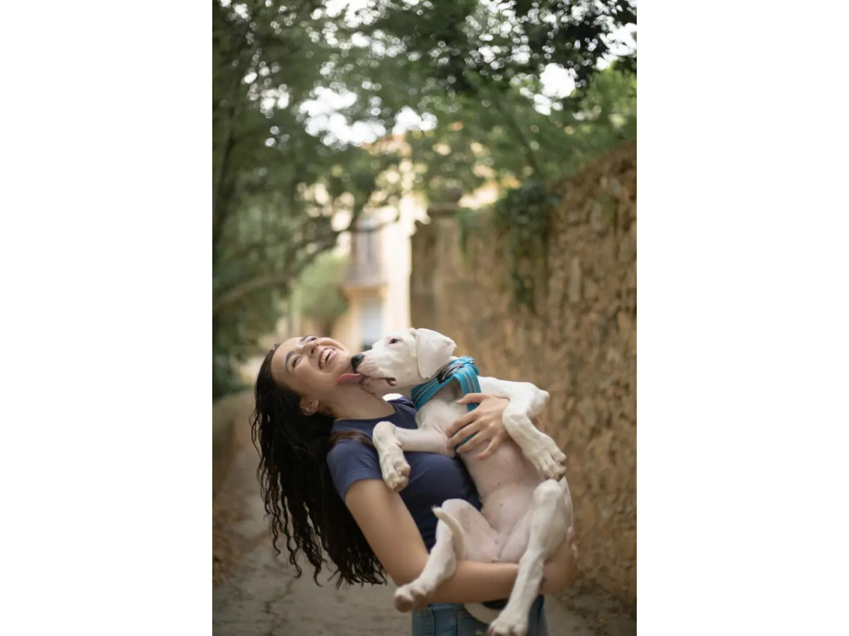 Conecta con tu cachorro