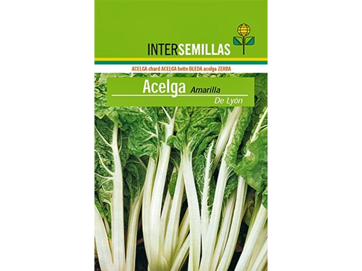 Acelga amarilla de Lyon, 500 g