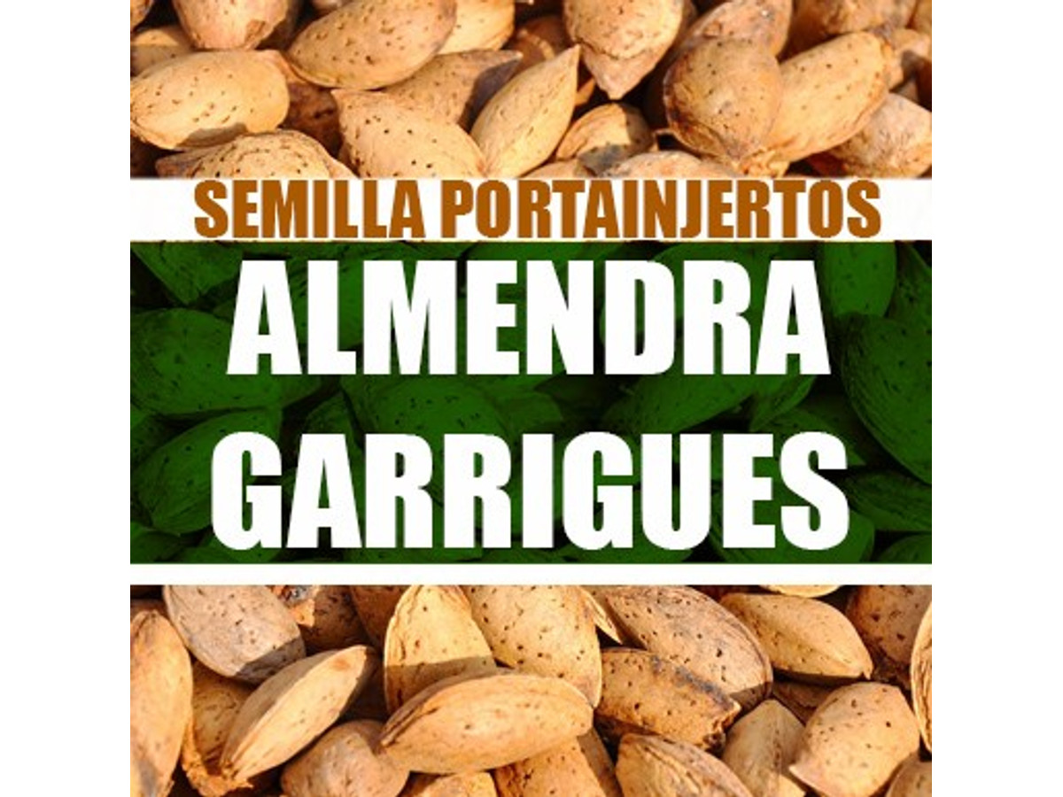 Almendra Garrigues