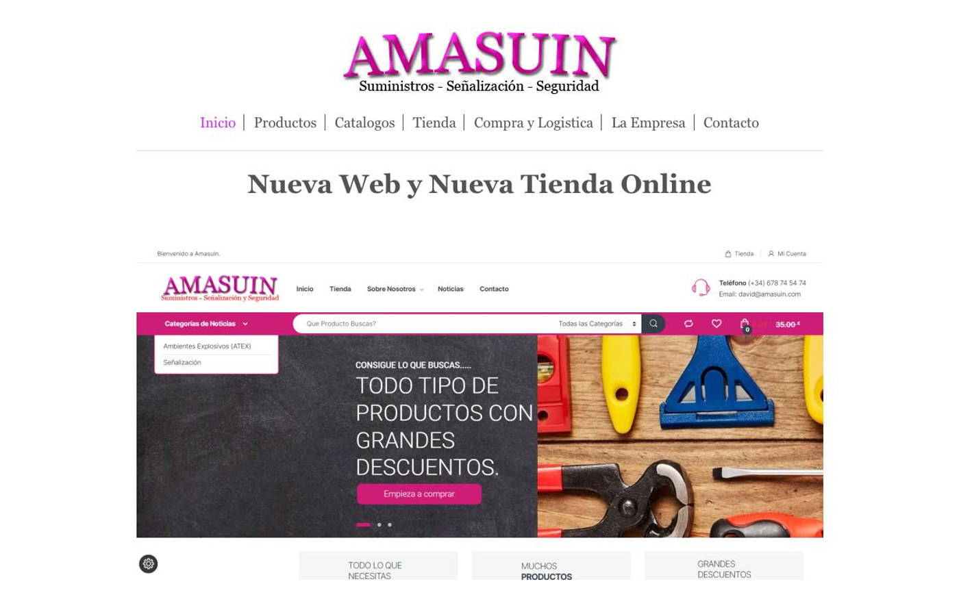 Captura limpia de la home oficial de Amasuin