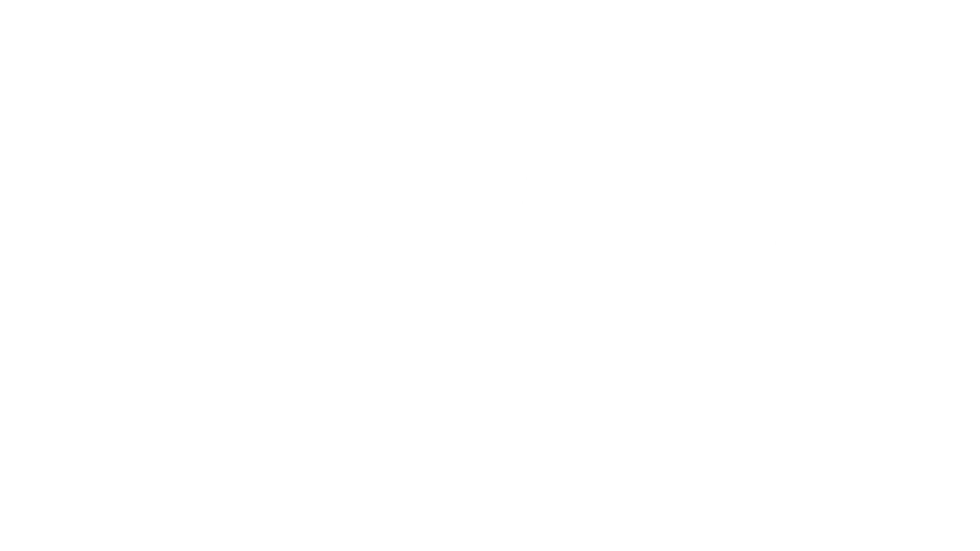 Logo de American Nutrition