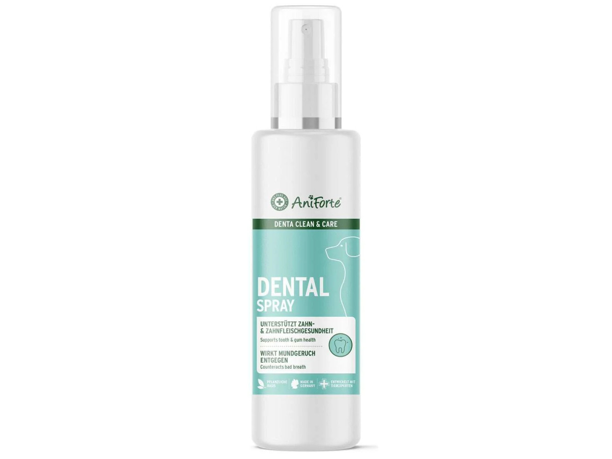 Denta Clean & Care Dentalspray