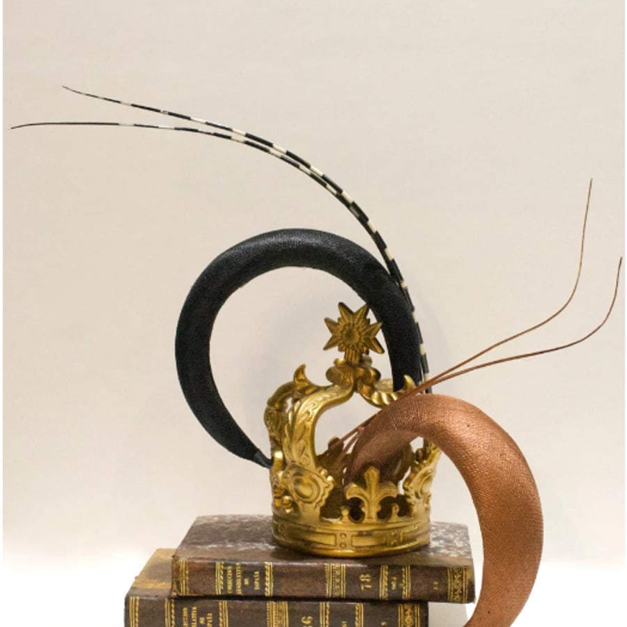 Diadema Mantis