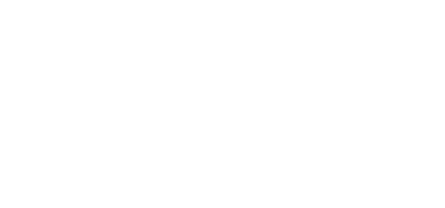 Logo de ANNKE