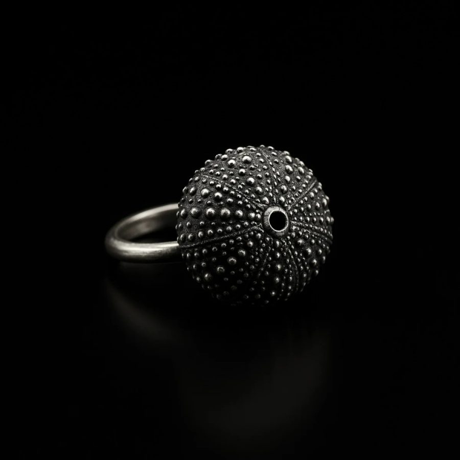 Anillo de plata Echinoidea