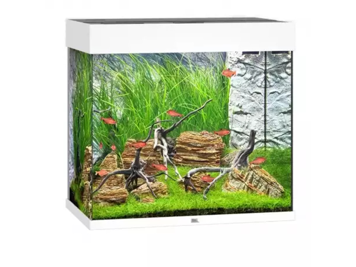 Aquarium Juwel Lido 120 sin mueble