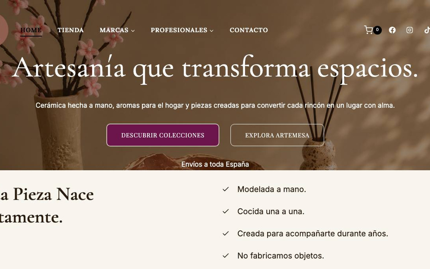 Captura limpia de la home oficial de Artemesa