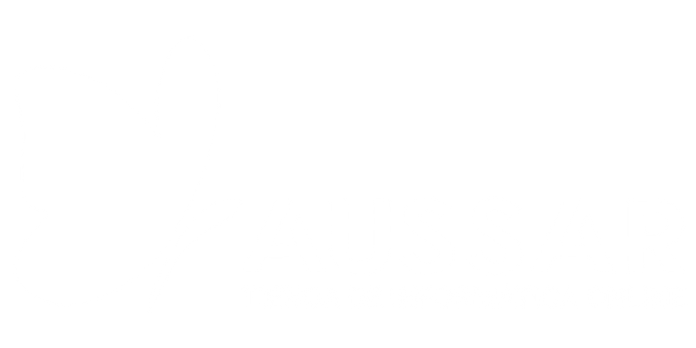 Logo de Aussar