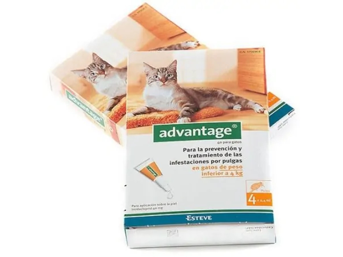 Advantage 40 Gatos 4 Pipetas (
