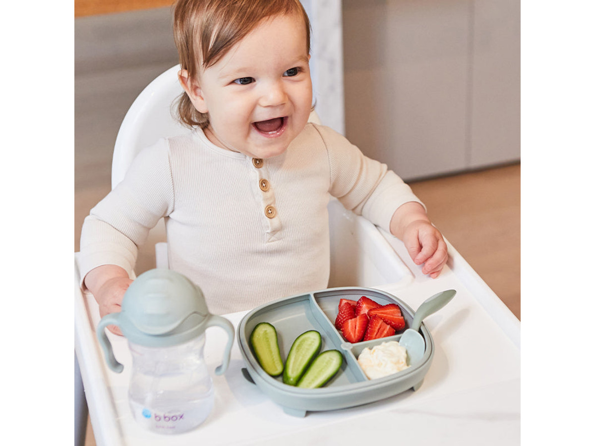 2 in 1 suction plate