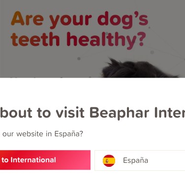 Dental care for dogs and cats