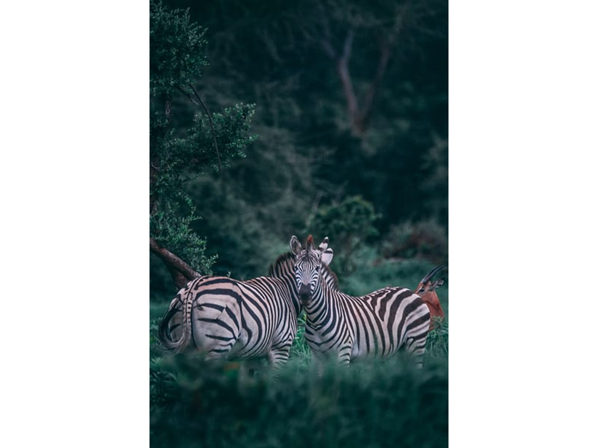Botswana