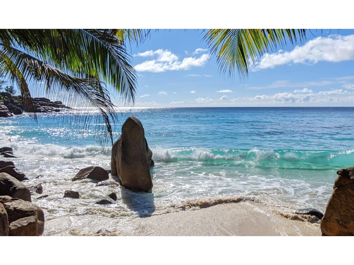 Luxury Honeymoons and Holidays in the Seychelles | Black Tomato