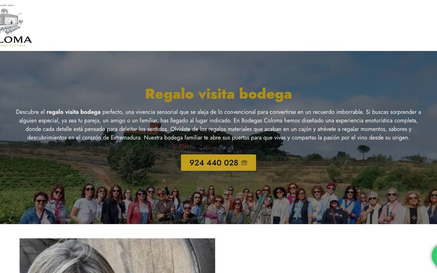 Captura de pantalla de la home de Bodegas Coloma
