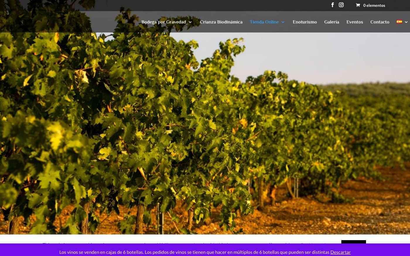 Captura de pantalla de la home de Bodegas Las Encomiendas