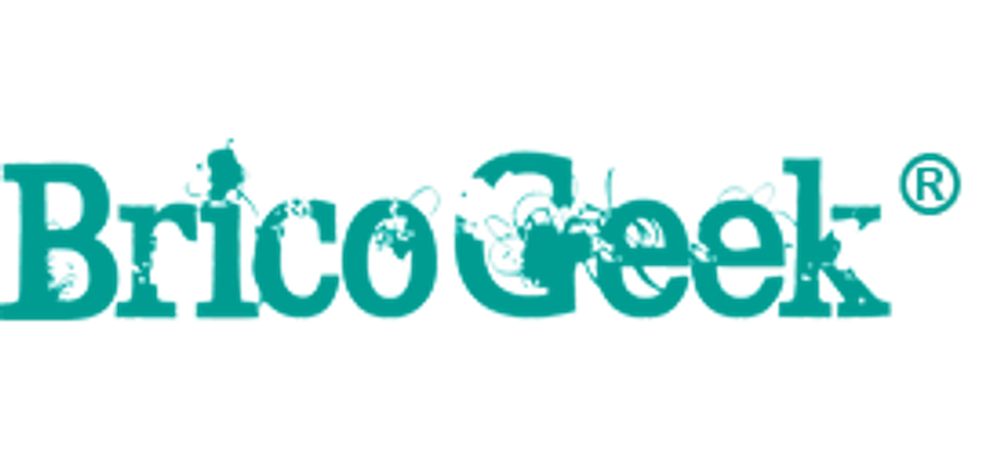 Logo de BricoGeek