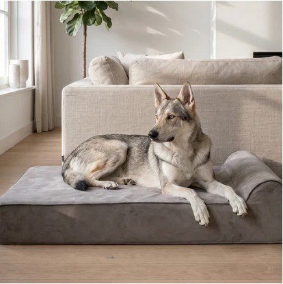 Collection: Original Bully Beds