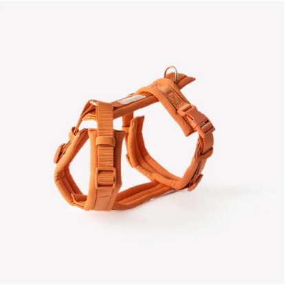 Collection: Furlou Accessories