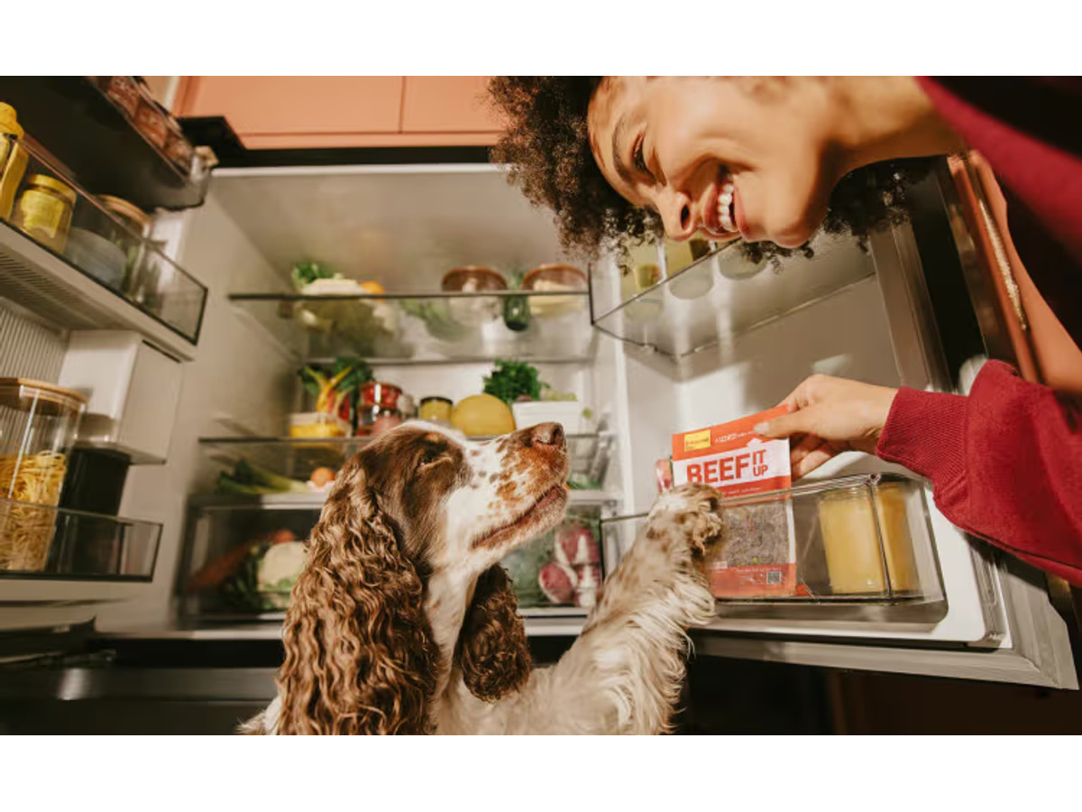 Fresh Meals
