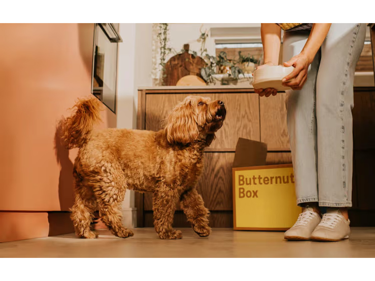 Fresh Dog Food
