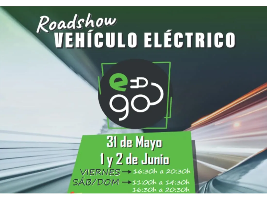 Roadshow Electric Go