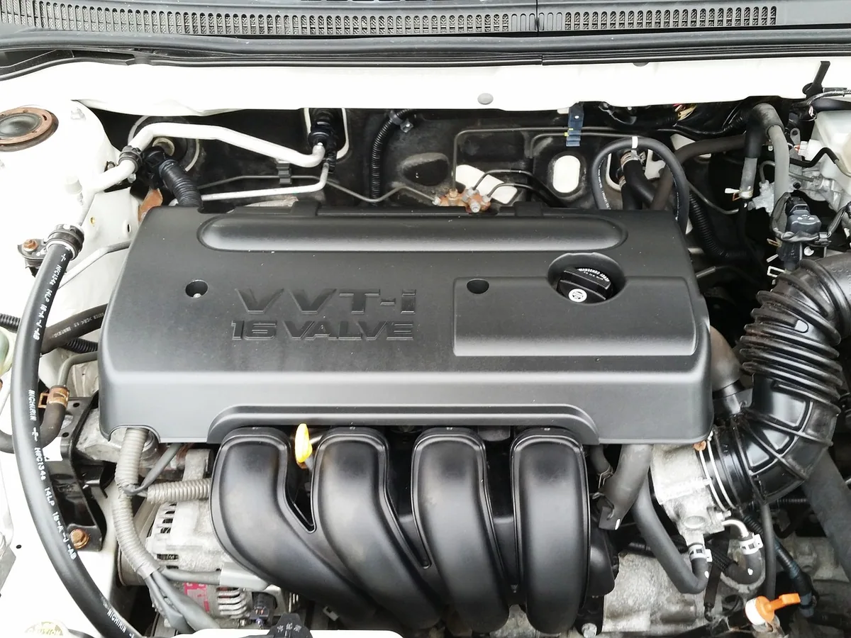 Motor