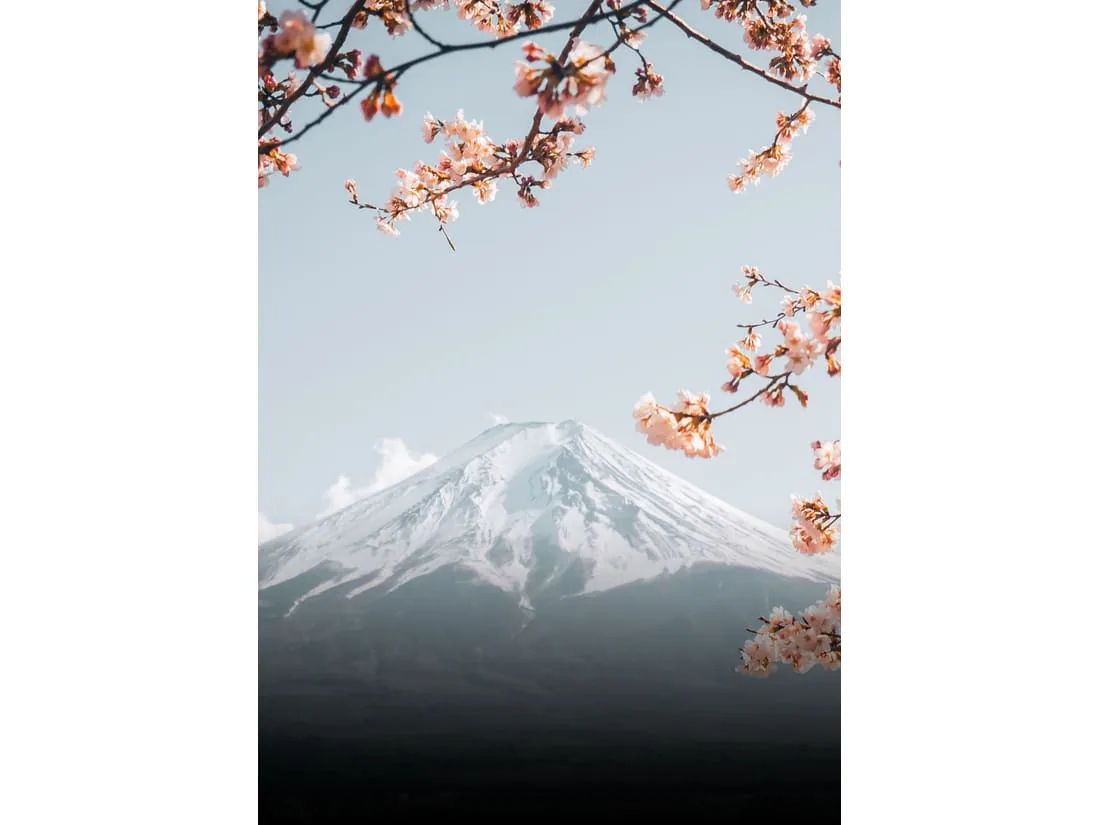 Luna de miel en Japón