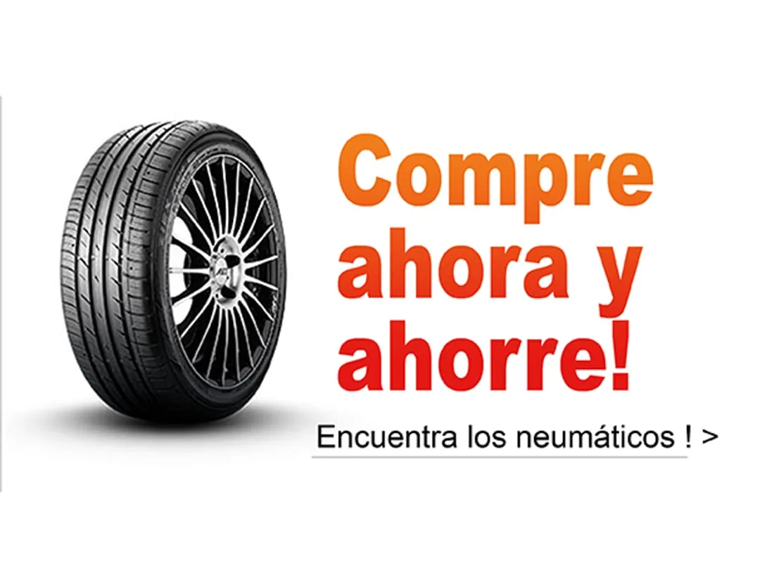 Neumáticos de verano