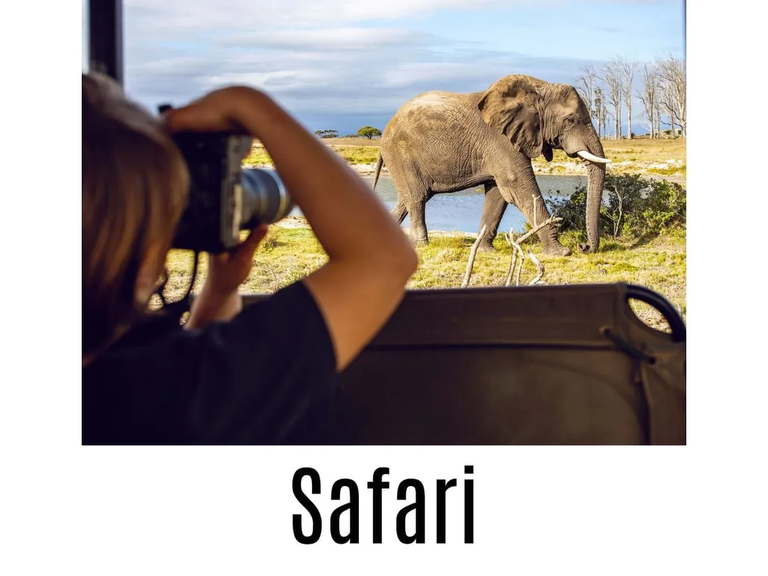Viajes de novios de safari