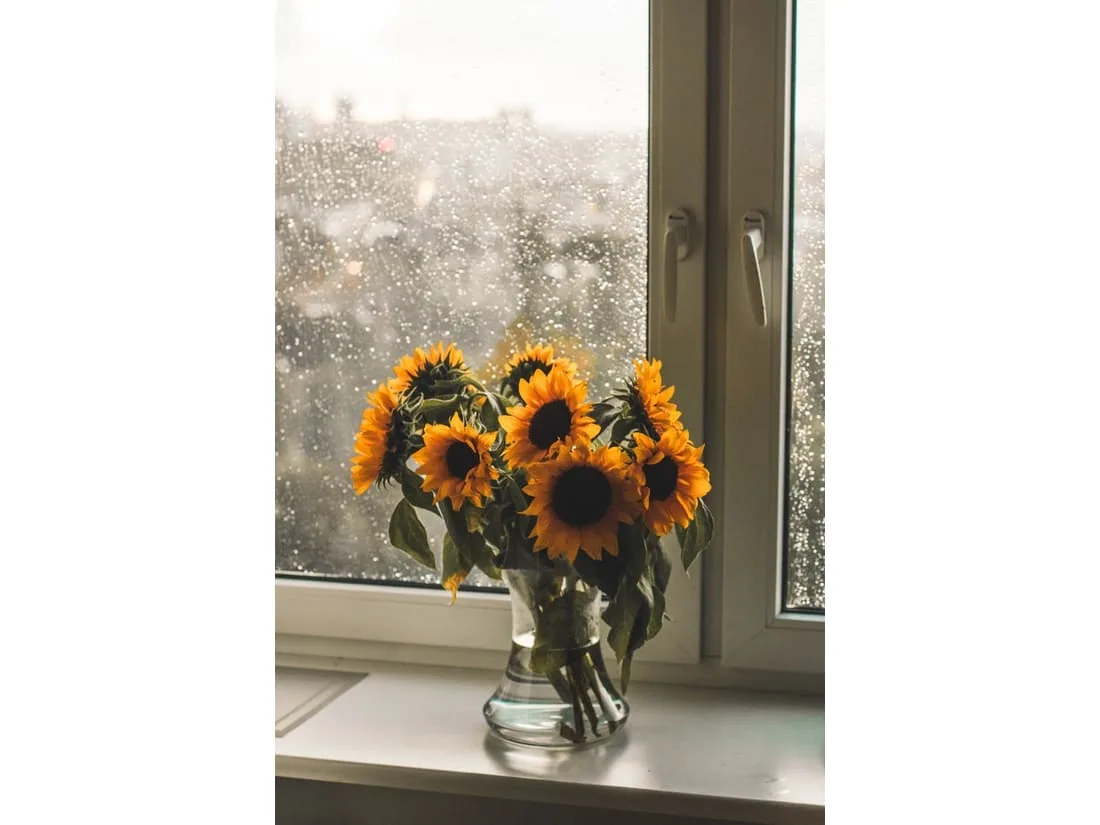 Flores L