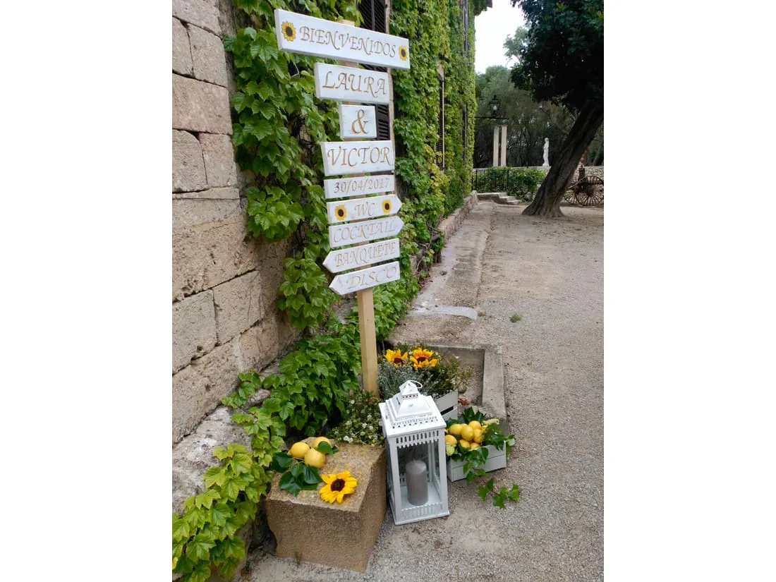 Flores y plantas