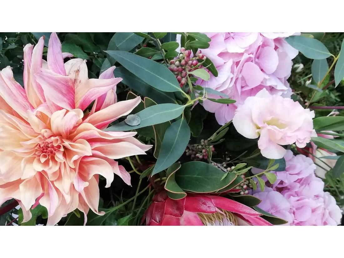 Proyecto floral 2