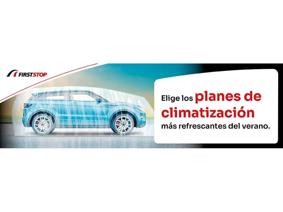 Neumáticos de invierno