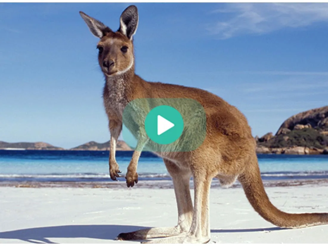 Viaje de novios a Australia