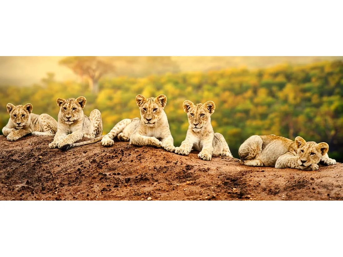 Viajes a Kenia