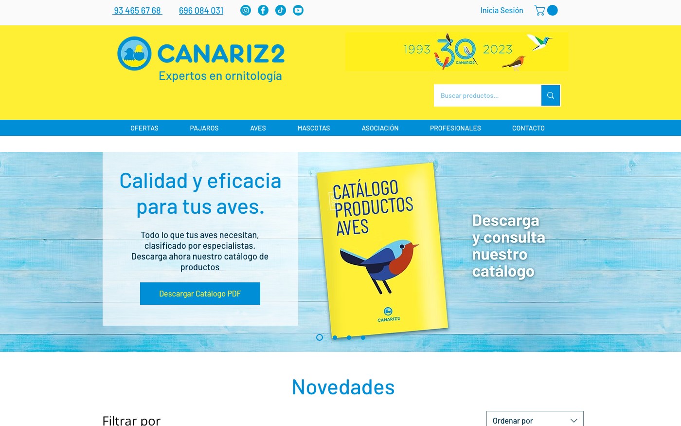 Captura de pantalla de la home de Canariz2