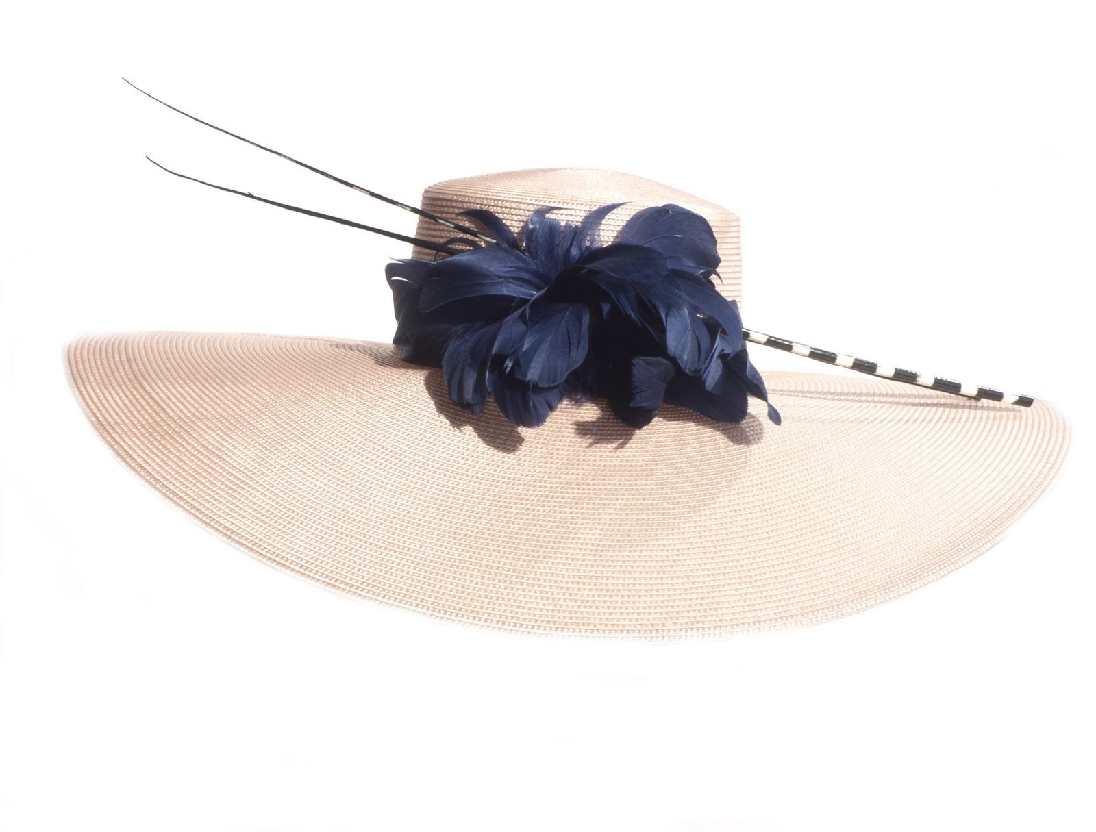 Pamela base beige, plumas azul marino