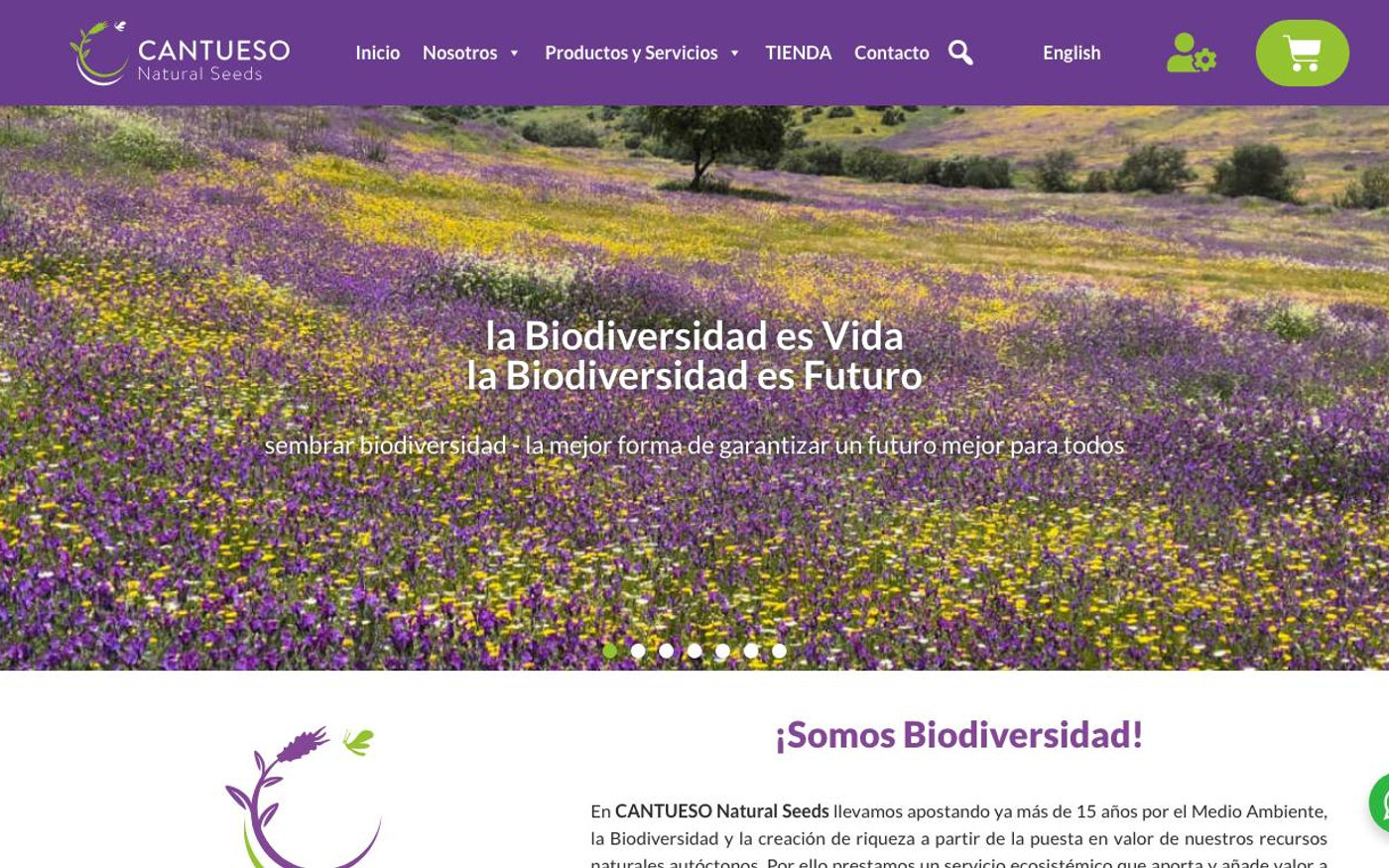 Captura limpia de la home oficial de Cantueso