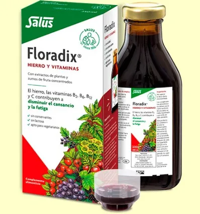 Floradix Hierro y Vitaminas - Salus - 500 ml