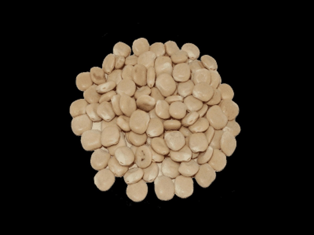 Altramuces