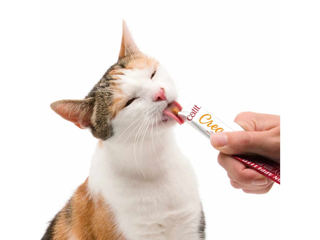 Snacks para gatos