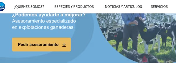 Ceva: referencia oficial 4