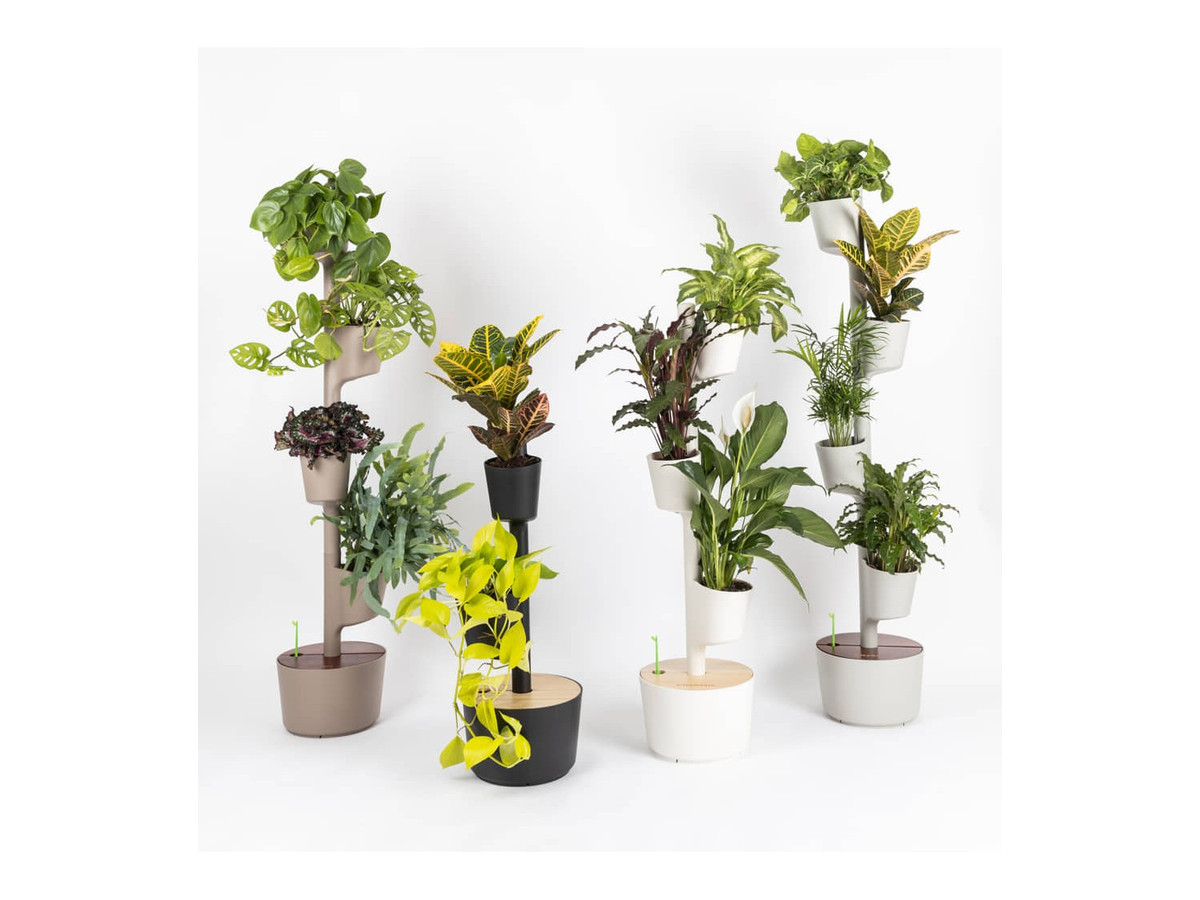 Crea tu propio macetero vertical CitySens