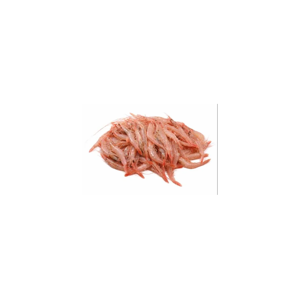 Gamba arrocera